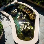Sunny Palace *