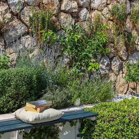 公寓 Sunny Palace *